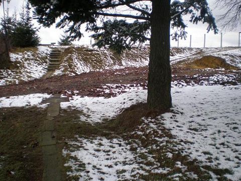 Foto 23